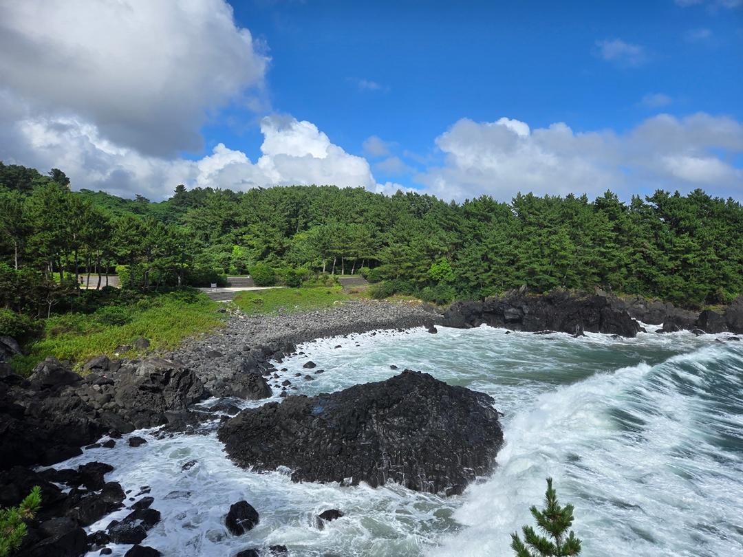만원으로 파랑파랑 제주 즐기기