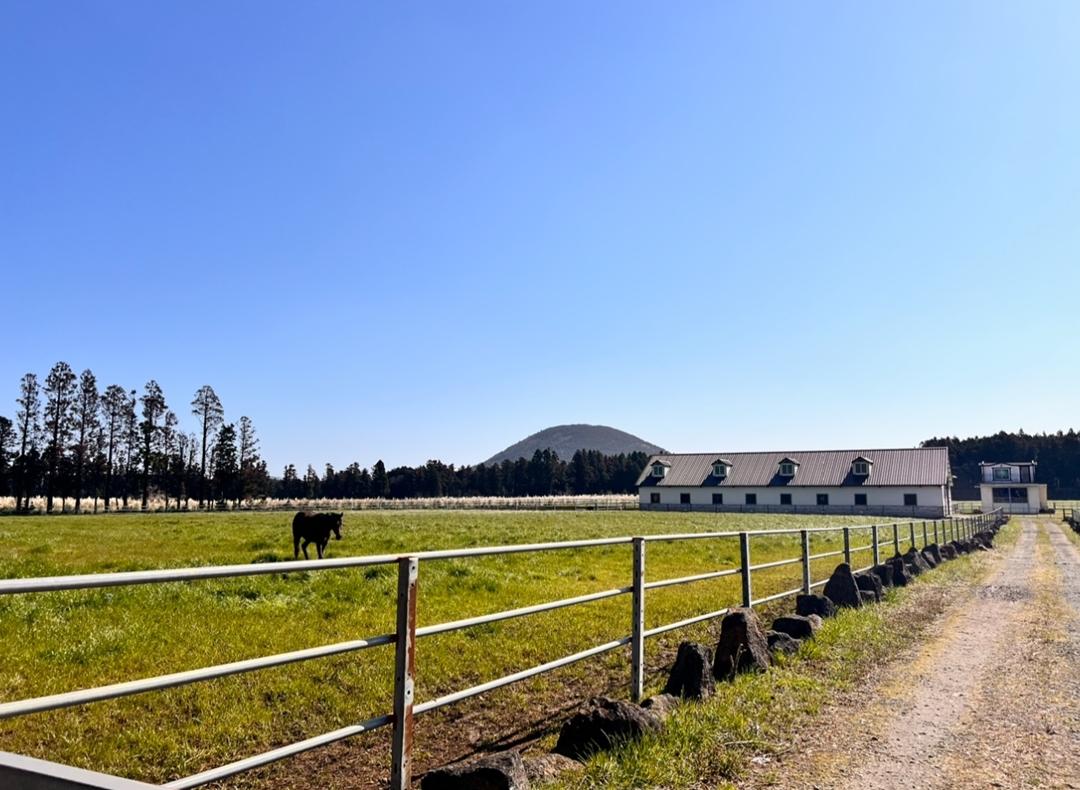 정의 되지 않은 제주도 명소 Best 3  <의미 없는 제주도>