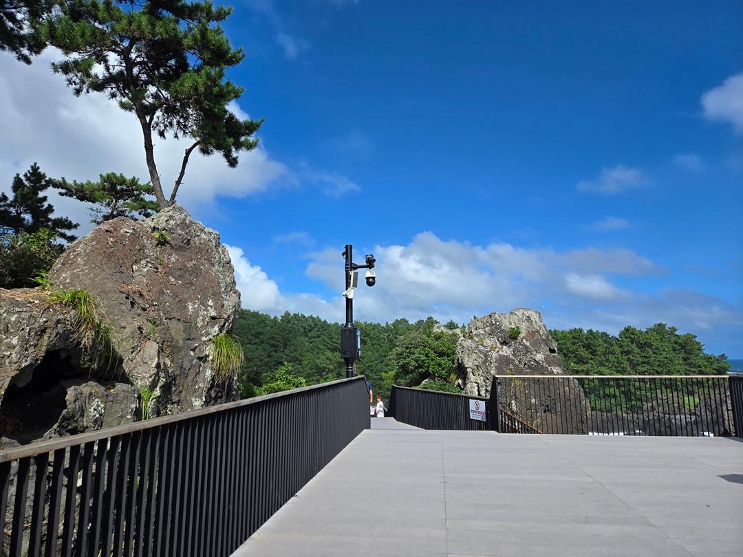 만원으로 파랑파랑 제주 즐기기