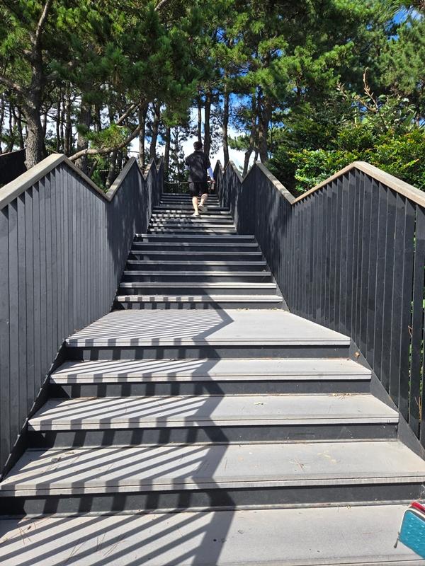 만원으로 파랑파랑 제주 즐기기