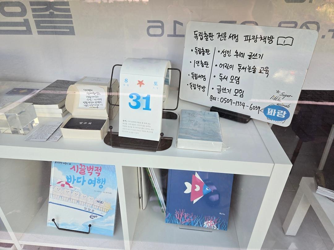 만원으로 파랑파랑 제주 즐기기