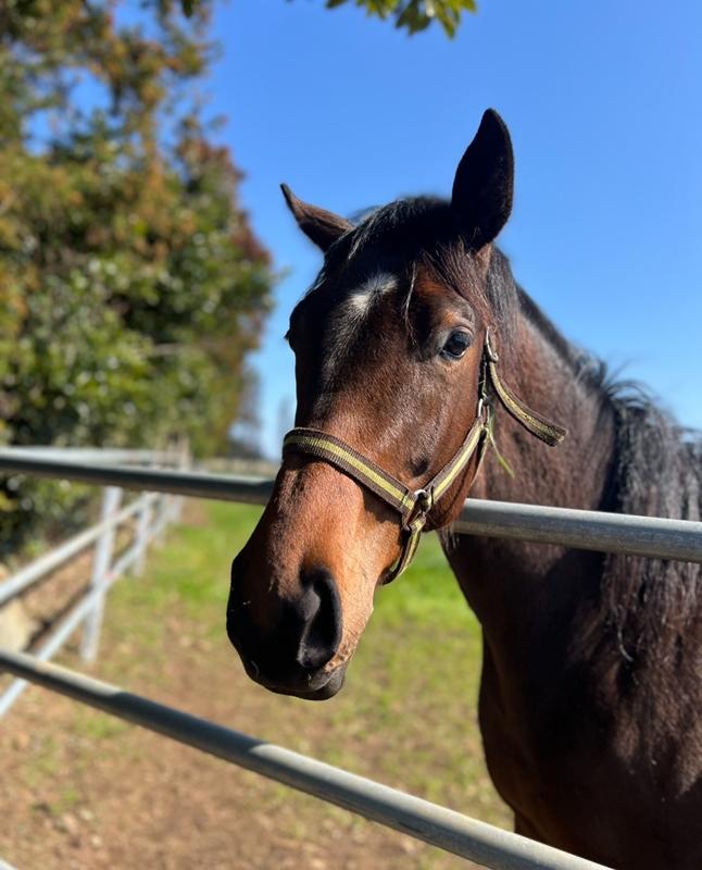 정의 되지 않은 제주도 명소 Best 3  <의미 없는 제주도>