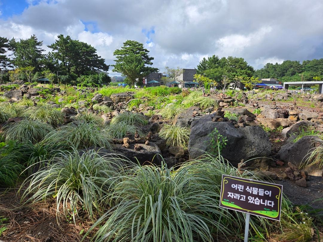 만원으로 파랑파랑 제주 즐기기