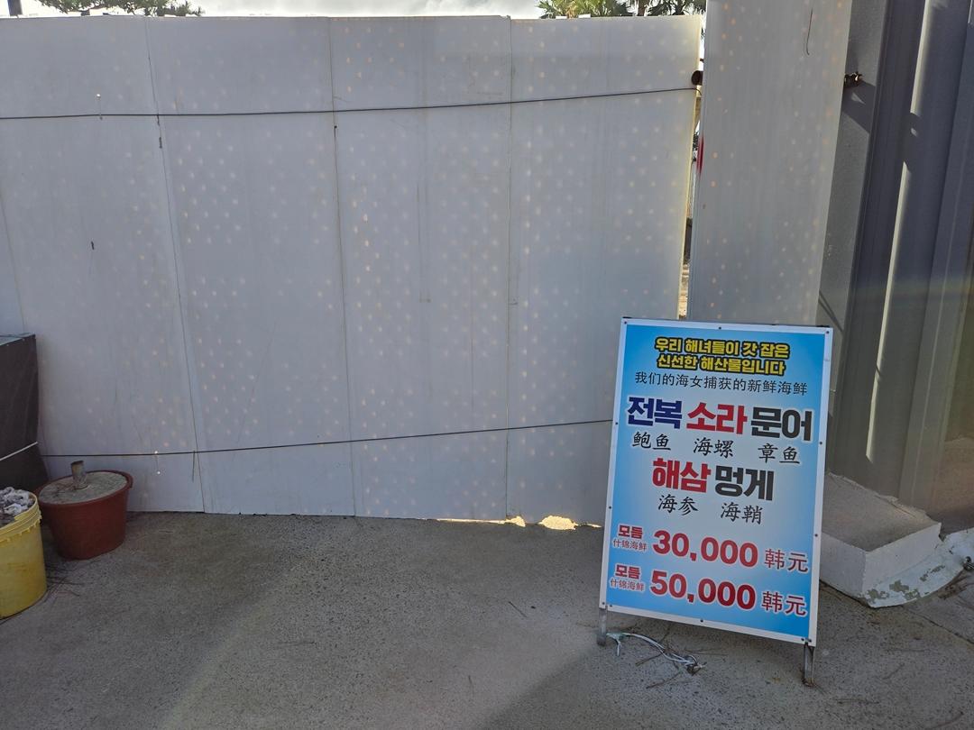 만원으로 파랑파랑 제주 즐기기