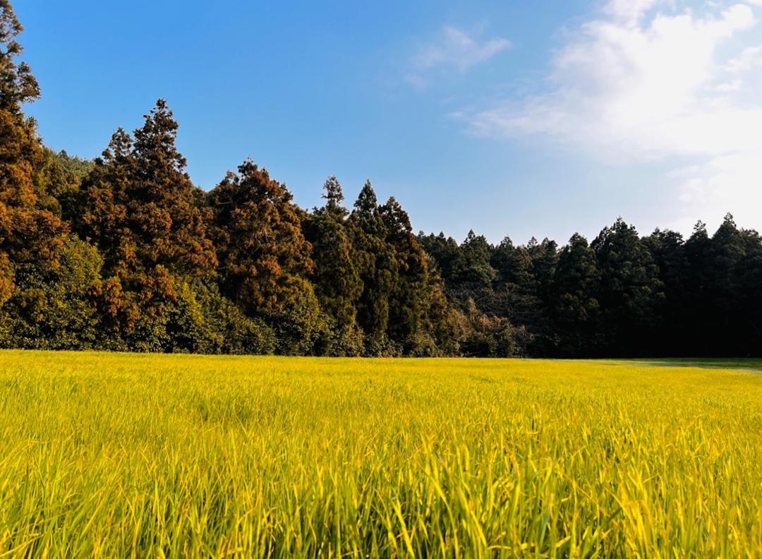 정의 되지 않은 제주도 명소 Best 3  <의미 없는 제주도>