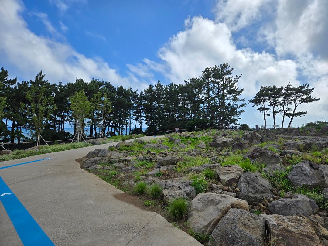 만원으로 파랑파랑 제주 즐기기