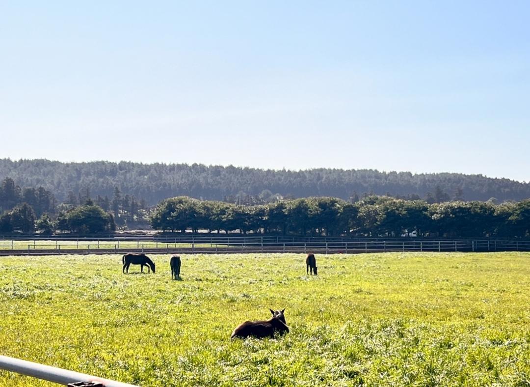 정의 되지 않은 제주도 명소 Best 3  <의미 없는 제주도>