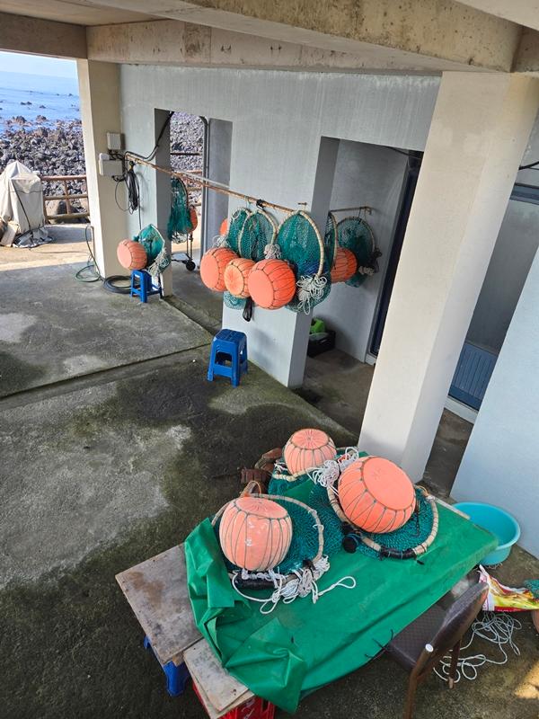 만원으로 파랑파랑 제주 즐기기