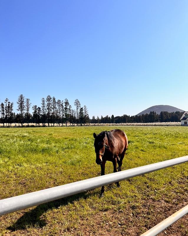 정의 되지 않은 제주도 명소 Best 3  <의미 없는 제주도>