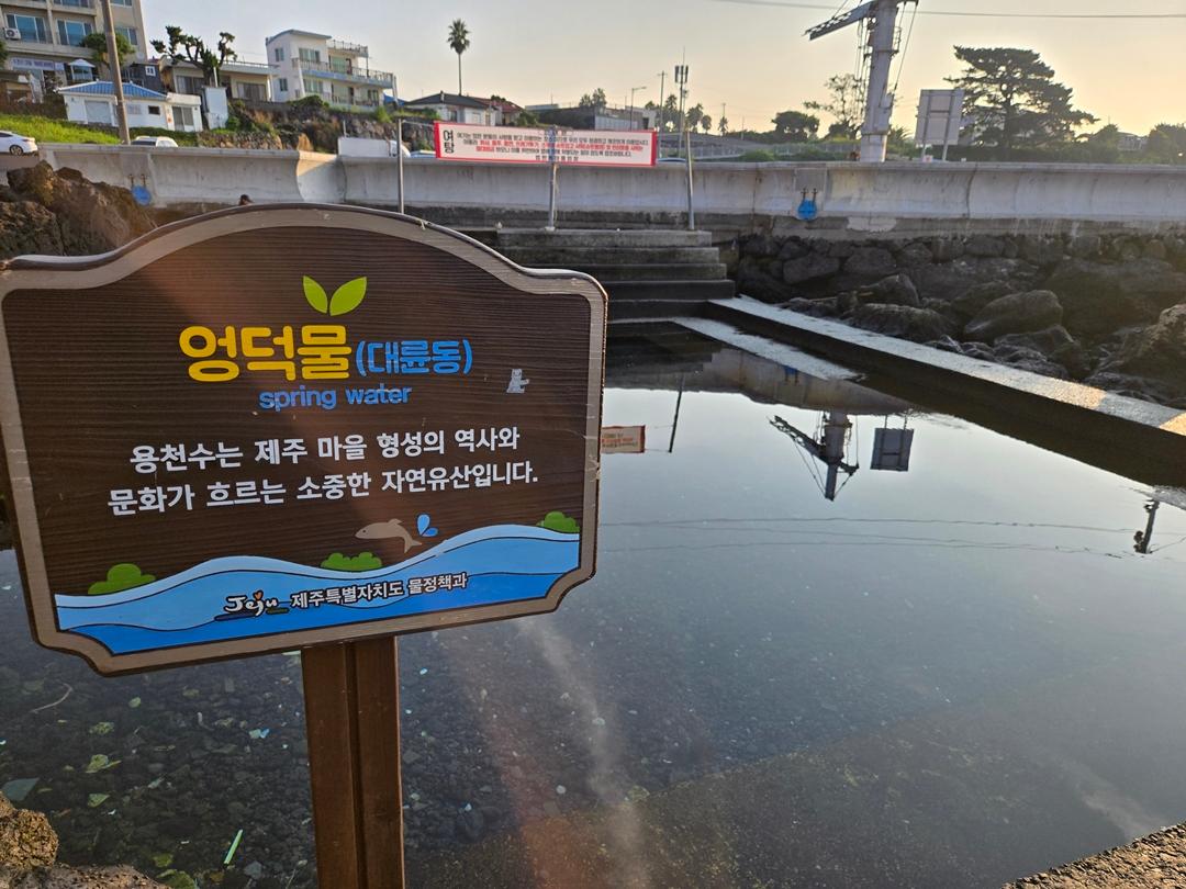 만원으로 파랑파랑 제주 즐기기