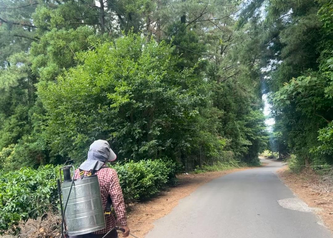 정의 되지 않은 제주도 명소 Best 3  <의미 없는 제주도>