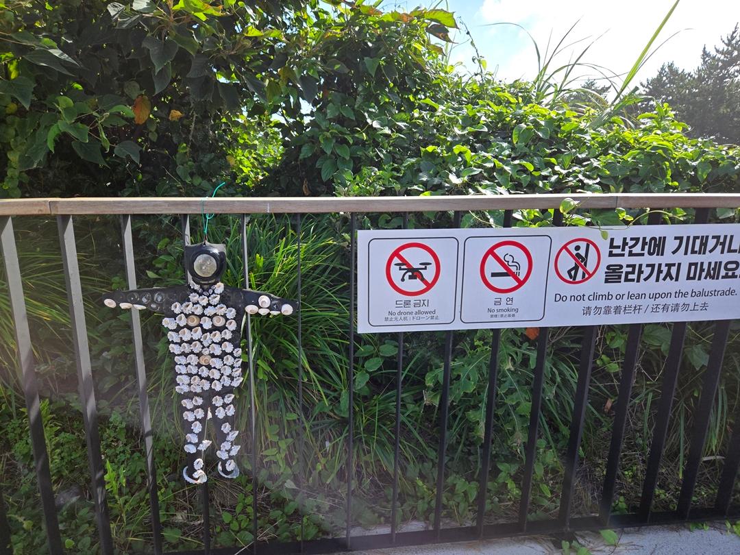 만원으로 파랑파랑 제주 즐기기