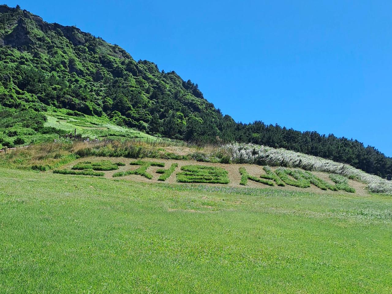 24년 성산 볼거리