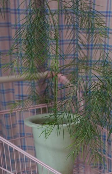 제주 원데이클래스들을 들으며 내가 잘하는 부캐 찾기!