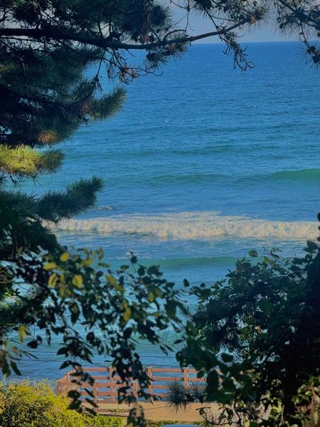 걷기좋은 계절, 올레길 6코스 동네 뽀개기