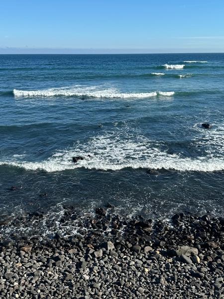 걷기좋은 계절, 올레길 6코스 동네 뽀개기