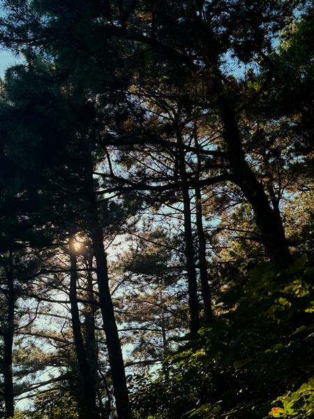 걷기좋은 계절, 올레길 6코스 동네 뽀개기