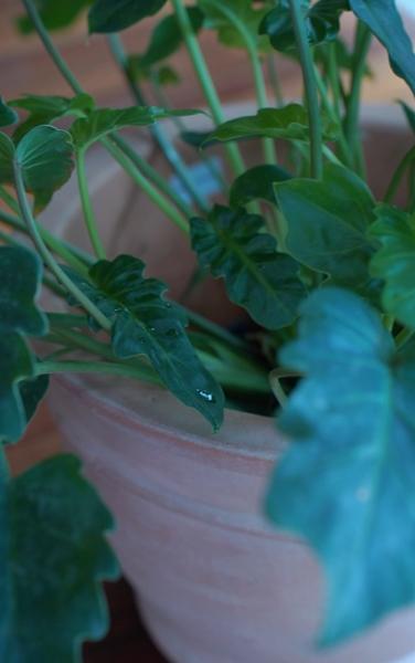 제주 원데이클래스들을 들으며 내가 잘하는 부캐 찾기!