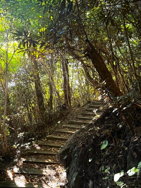 걷기좋은 계절, 올레길 6코스 동네 뽀개기