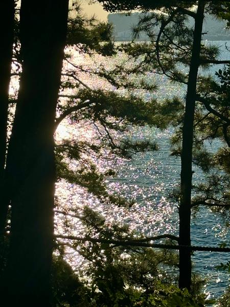 걷기좋은 계절, 올레길 6코스 동네 뽀개기