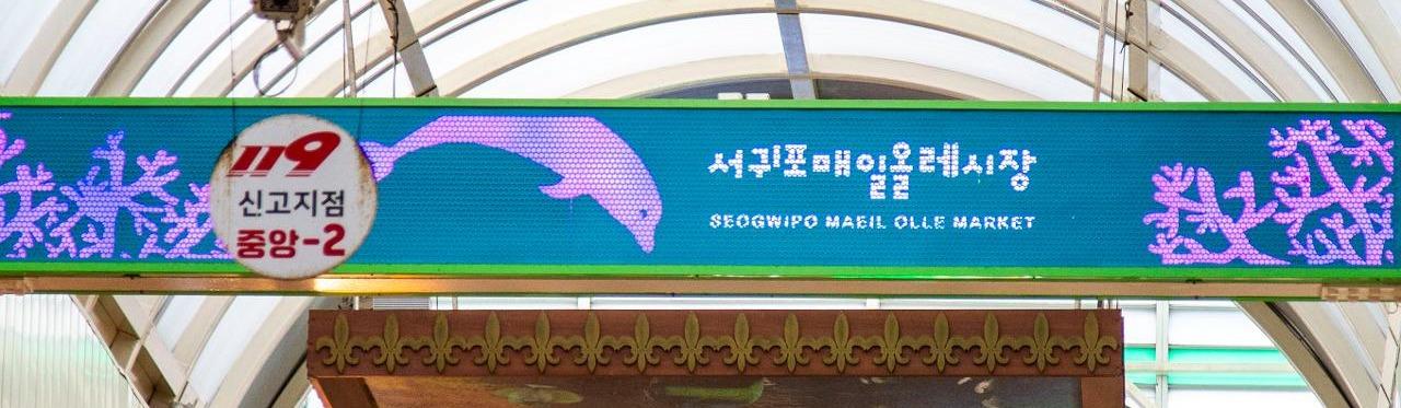 천제연폭포 전경