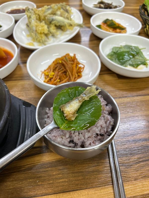 제주 동네의 재발견, 관덕정! 어디까지 가봤수꽈?
