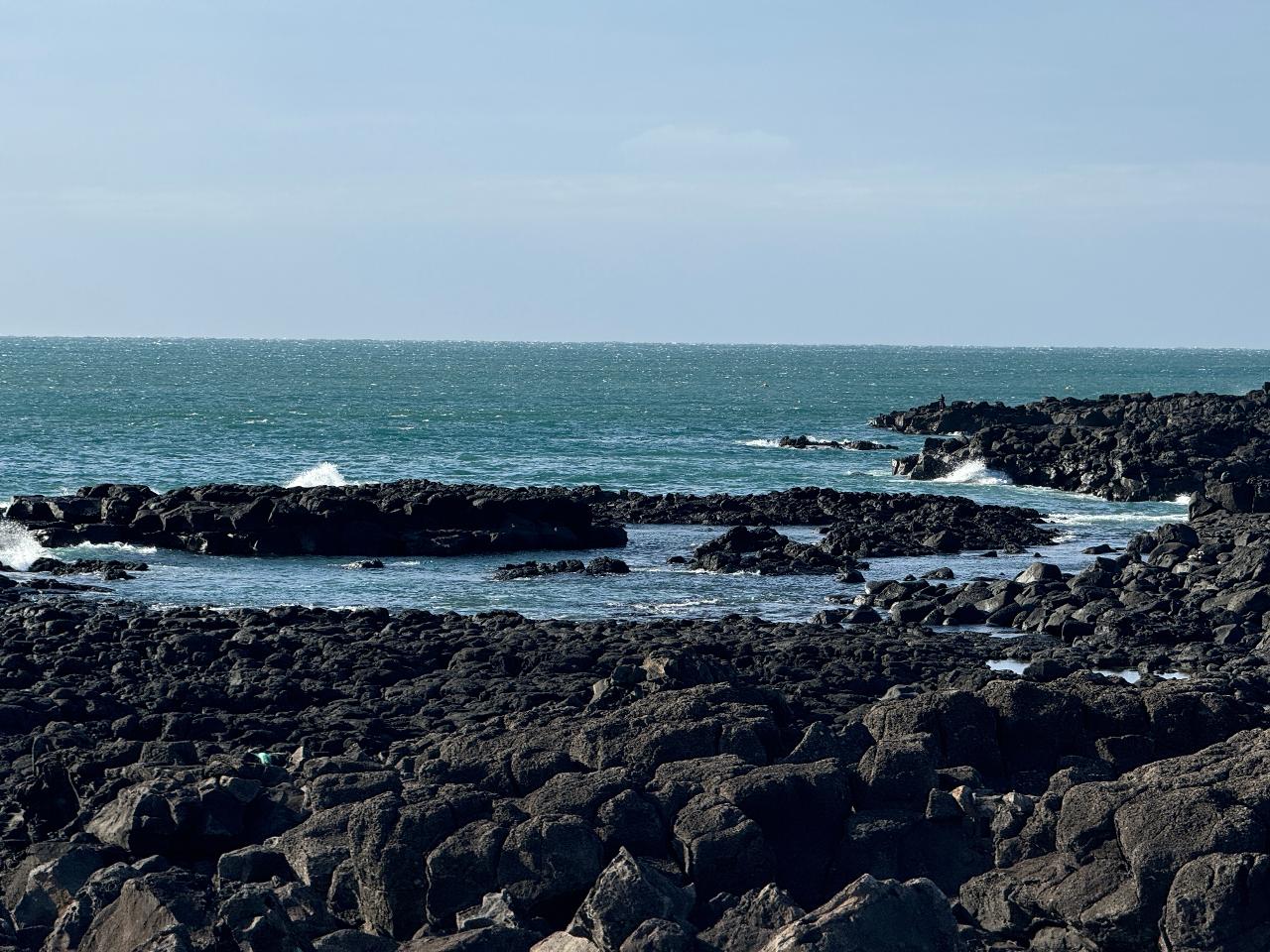 청년서포터즈 4