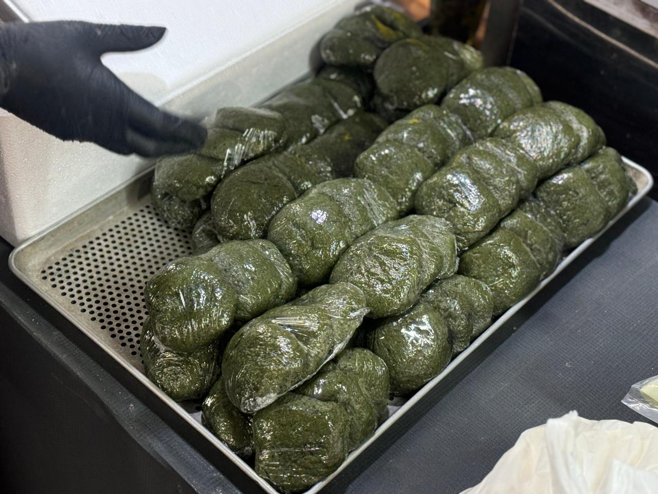 청년서포터즈 4