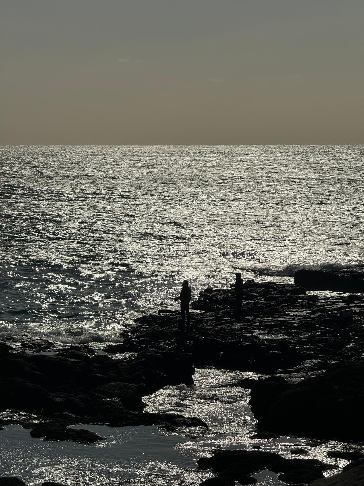 청년서포터즈 4