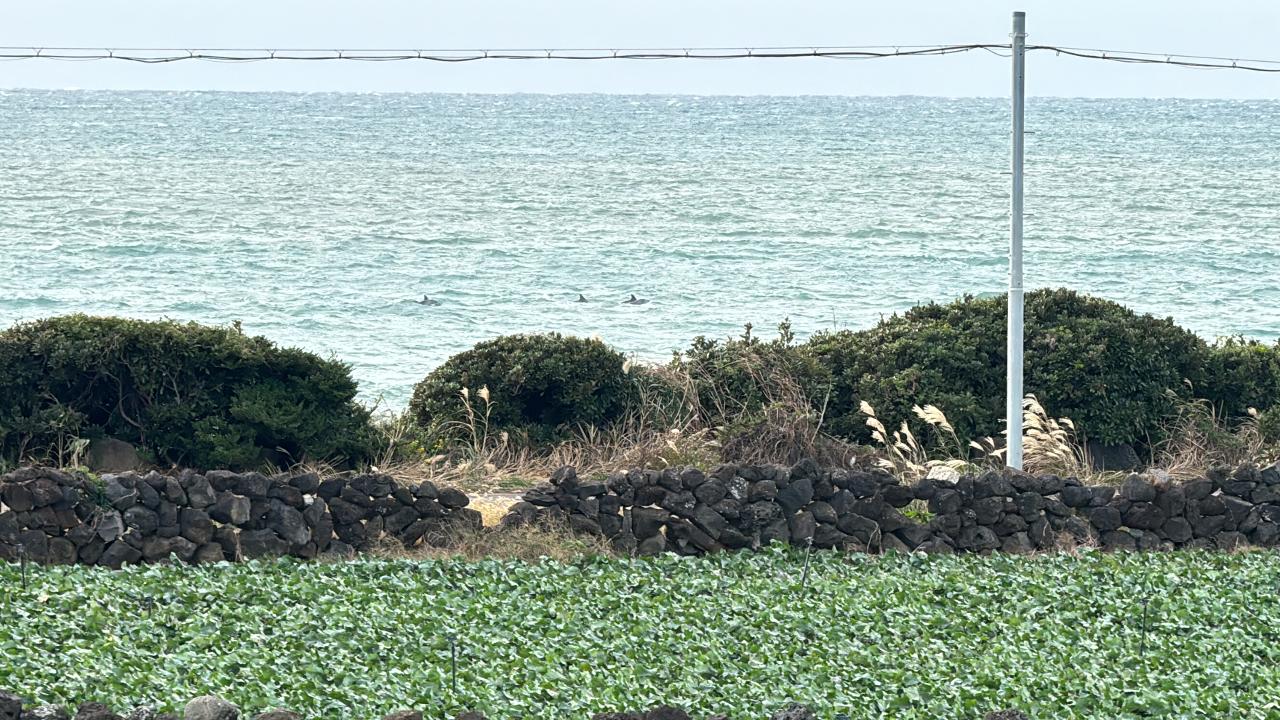 청년서포터즈 4