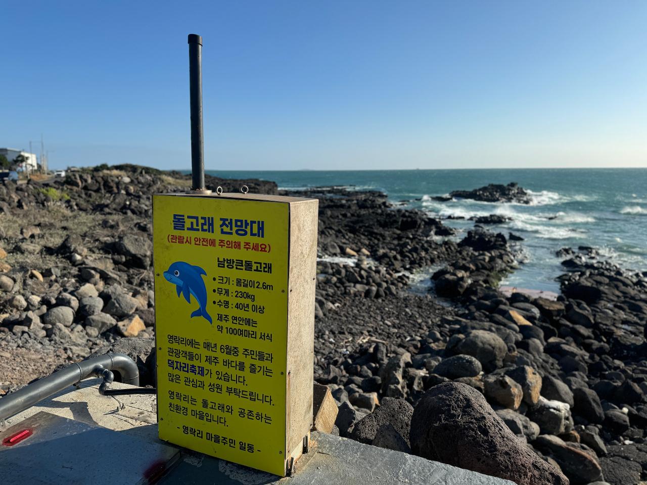 청년서포터즈 4