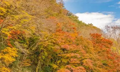 제주 가을, 온전히 느끼기