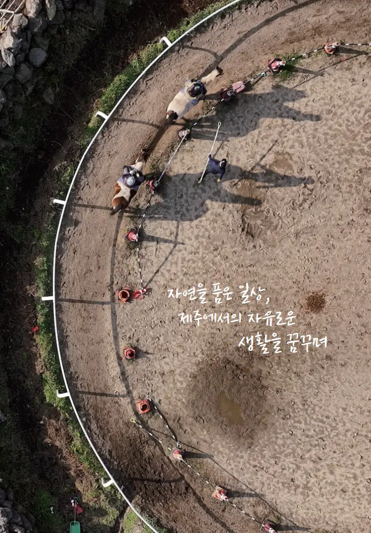 우리의 청춘 이제부터 시작이다 - (E)nergetic의 제주여행 이야기-②