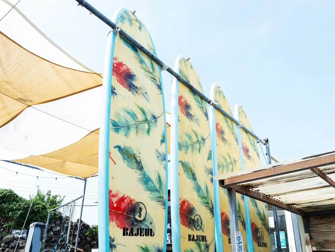 Woljeong Bajeul Surfing & Paddleboard
