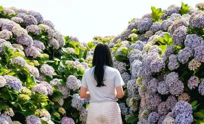 2025 놓치지 말아야 할 ‘여름’ 제주관광