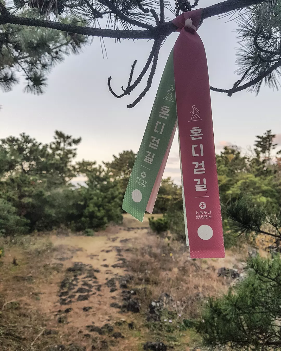 비짓제주 여름 이벤트! <제주 디지털 관광증의 이름은 무엇일까요?>