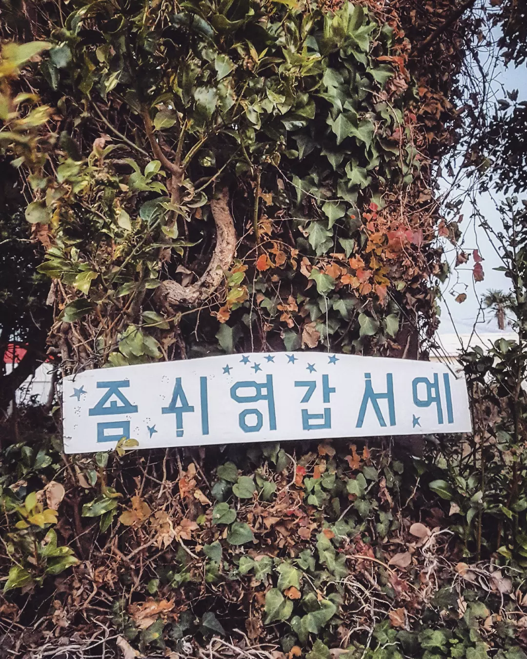 비짓제주 여름 이벤트! <제주 디지털 관광증의 이름은 무엇일까요?>