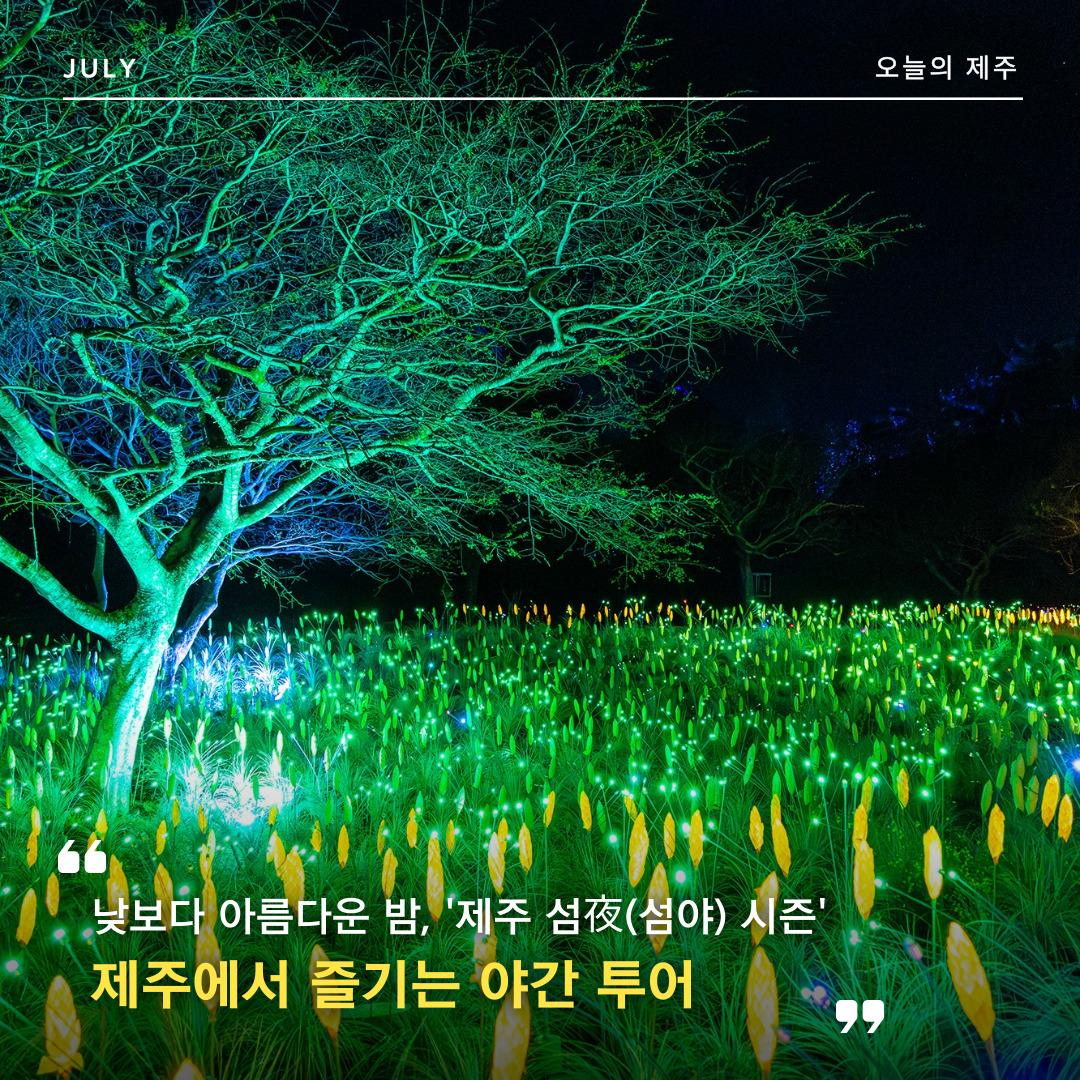 야간투어