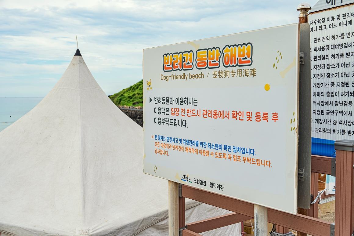 2025추천가을