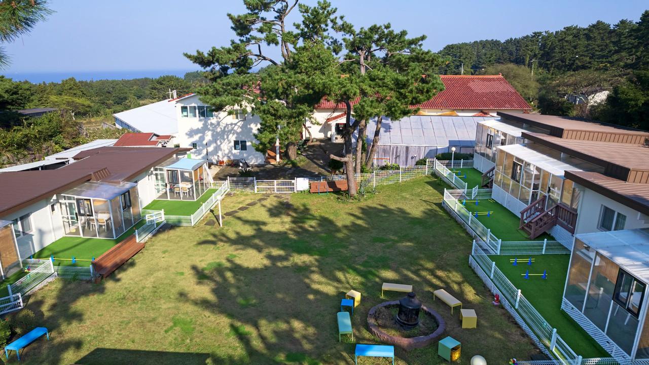 제주댕댕이파크리조트