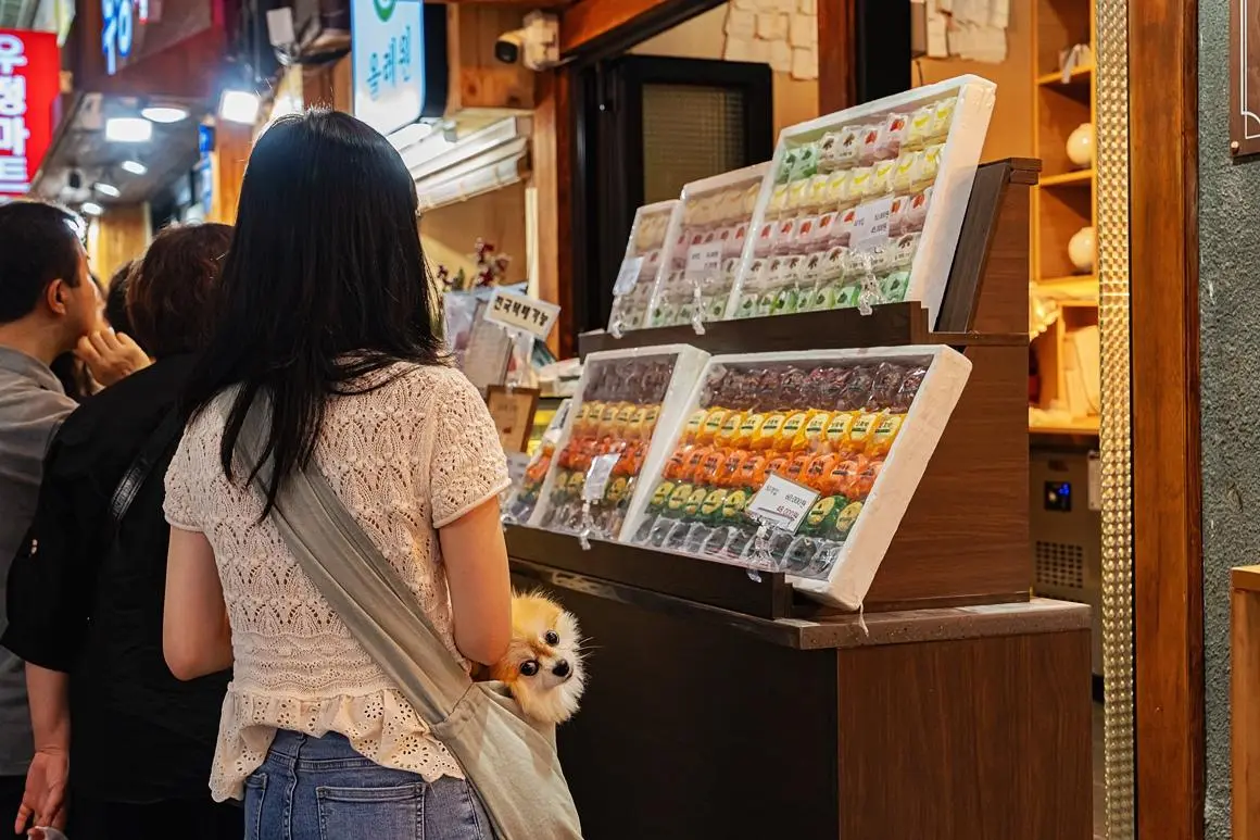 Visit Jeju : タンジュジェ済州