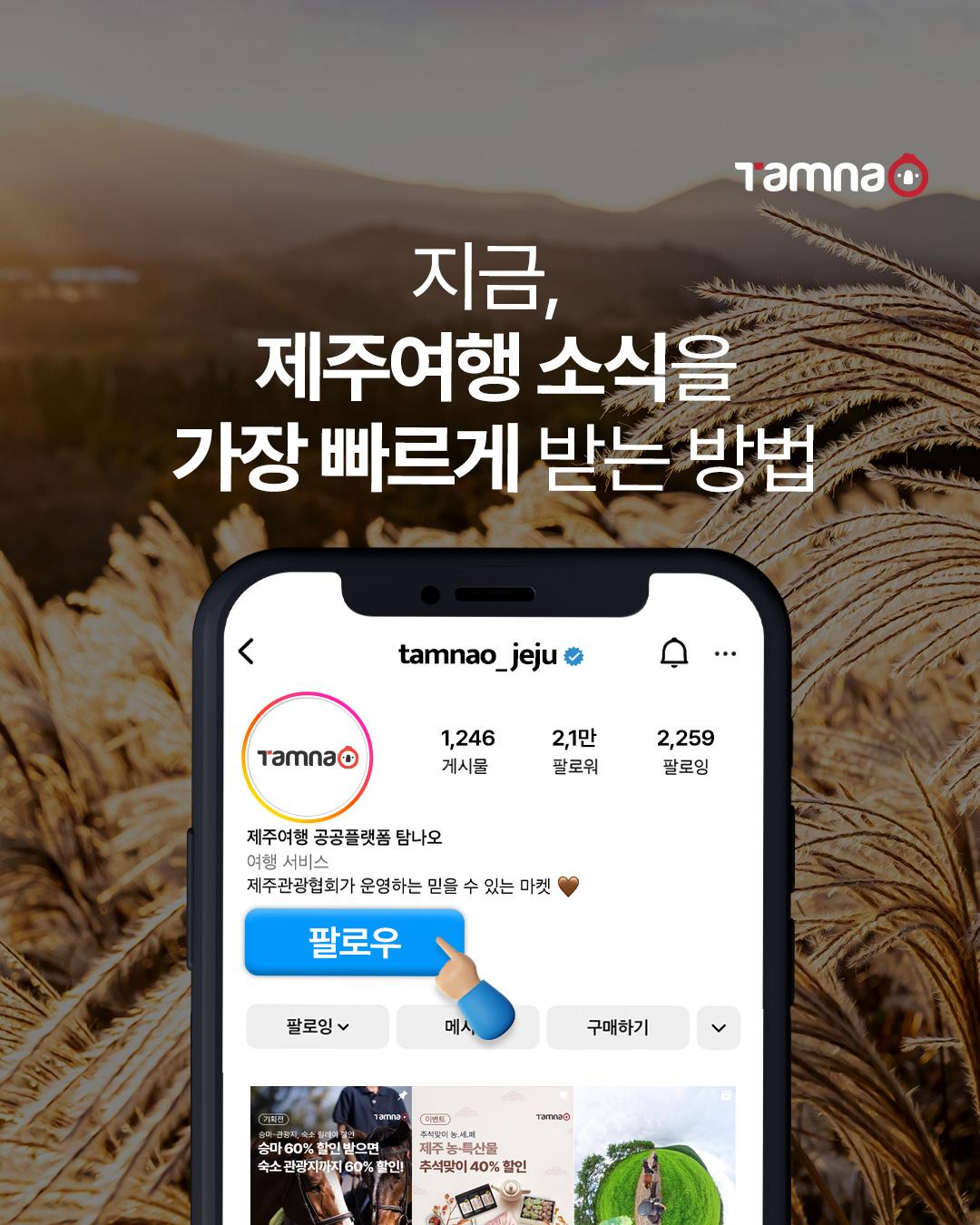 탐나오카드뉴스