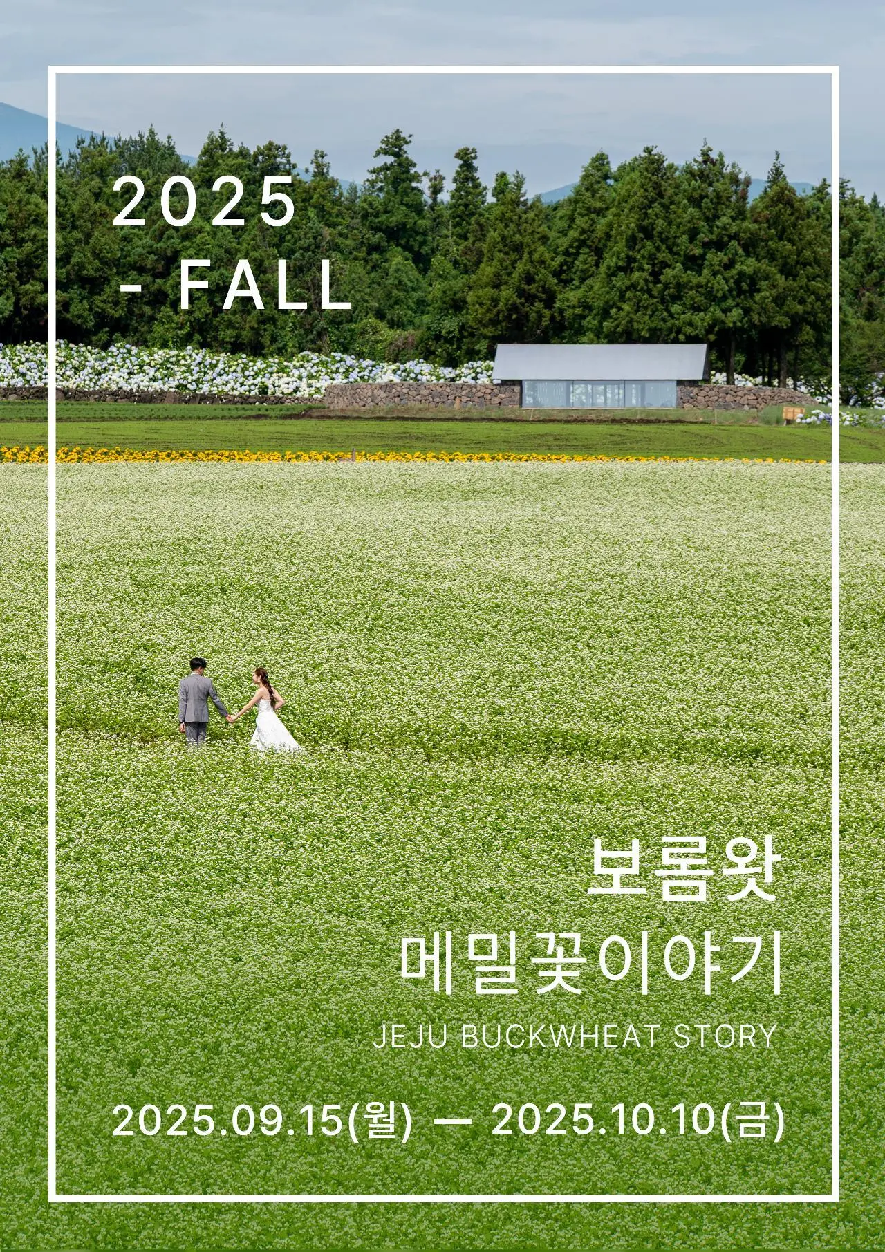 축제의 열기부터 고즈넉한 힐링까지, 황금연휴 제주에서 즐기는 다채로운 경험