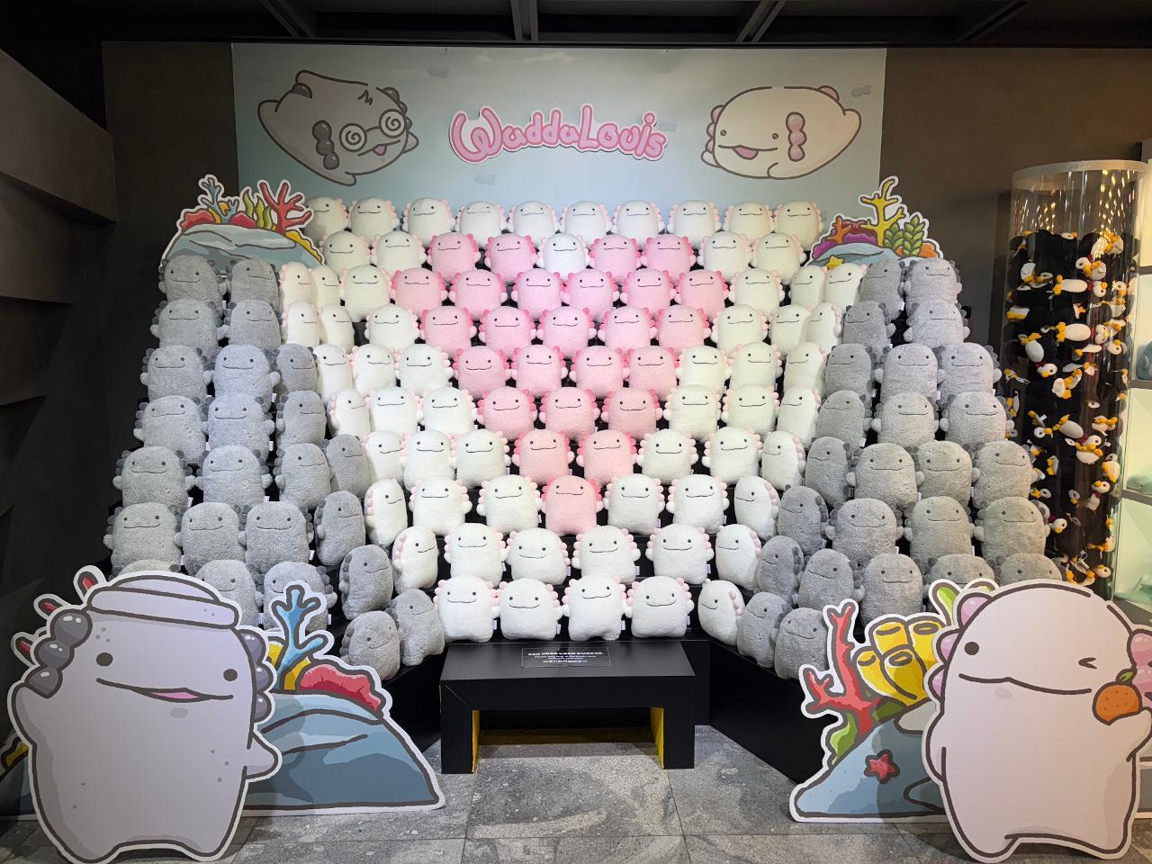 아쿠아플라넷사진