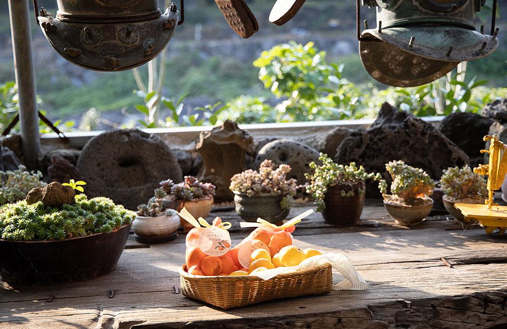 쇠소깍 산물 관광농원