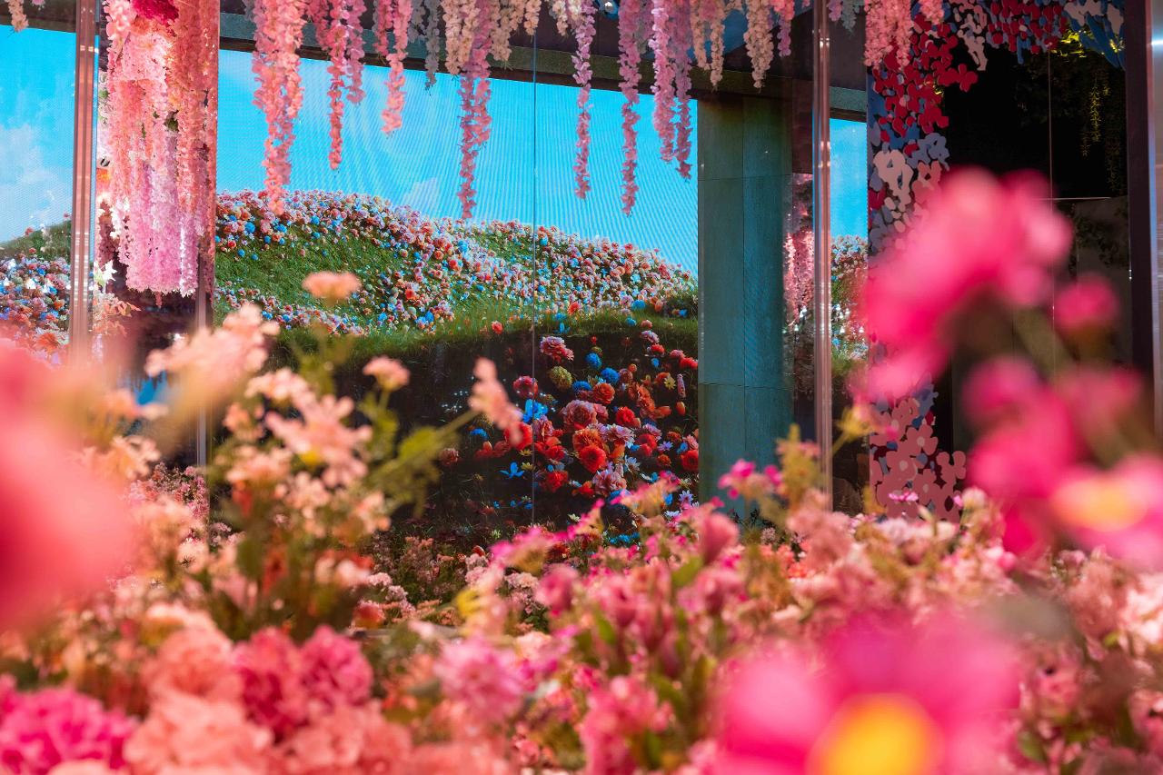 수퍼플라워 제주