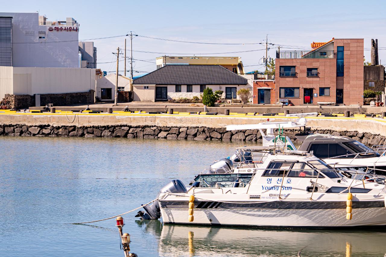 방어축제의거리