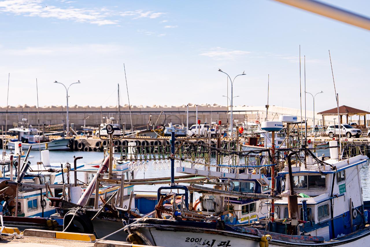 방어축제의거리