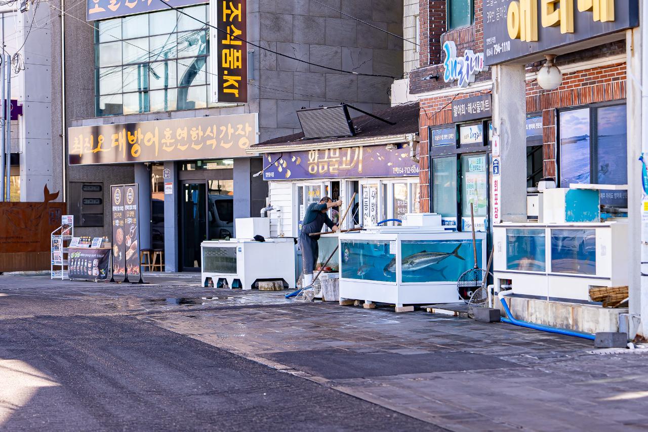 방어축제의거리