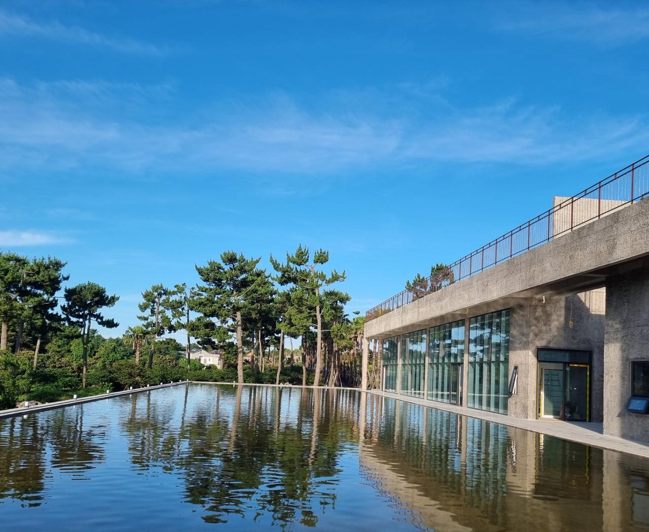 삼달리꽃밭에서